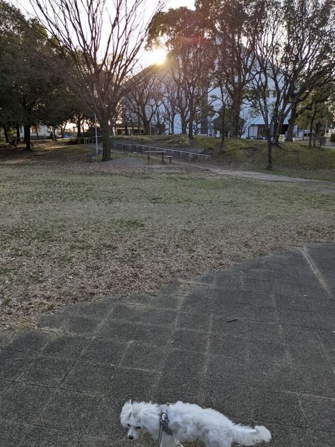 PXL_20220316_080049104