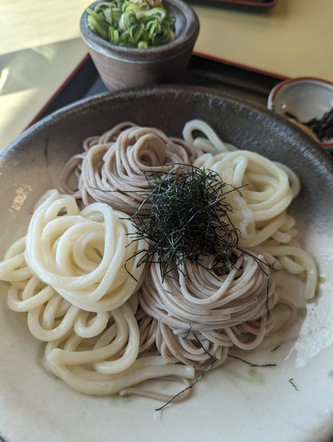 PXL_20231119_061144678