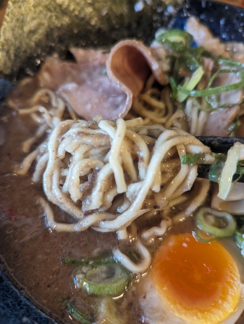 PXL_20240119_025255852