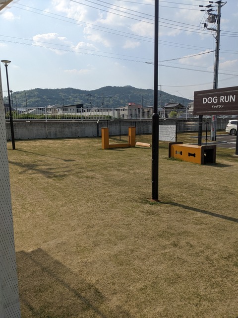 PXL_20220420_060234902