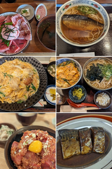 20240313_154316-COLLAGE