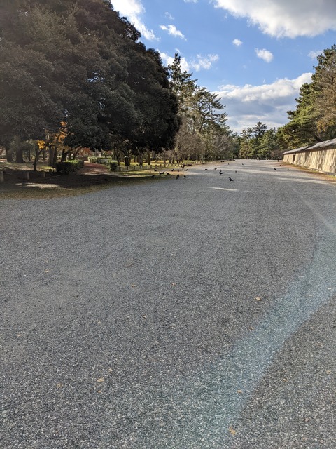 PXL_20211219_051408684
