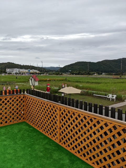 PXL_20221005_055701836