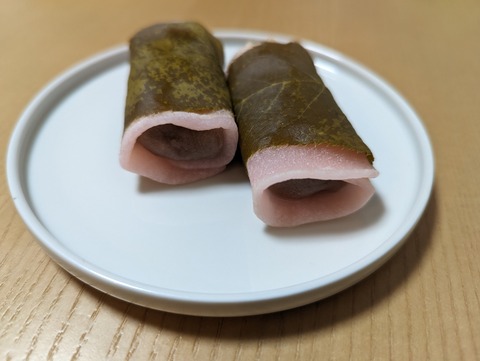 PXL_20240303_134341554