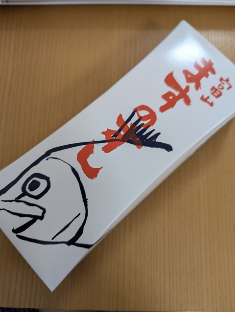 PXL_20240813_051543875