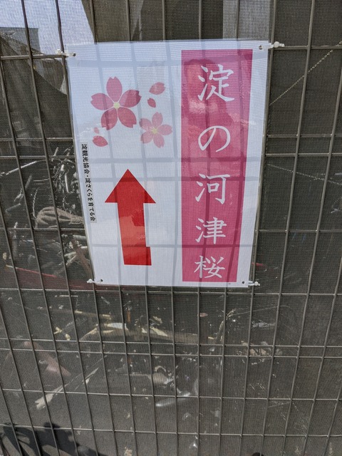 PXL_20220316_044005048