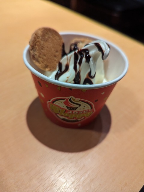 PXL_20230214_131347484