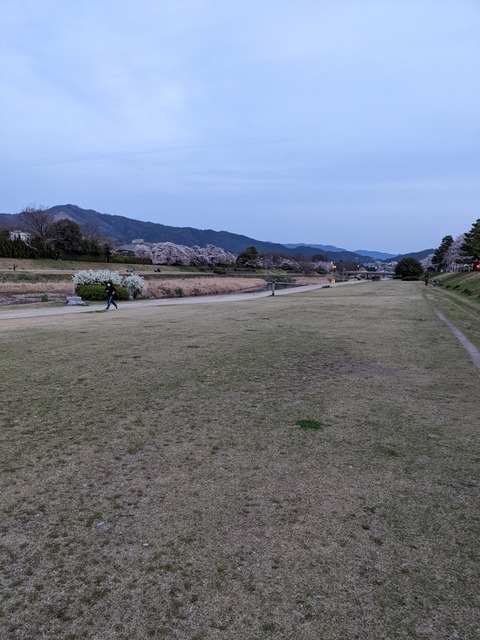 PXL_20220330_092153431
