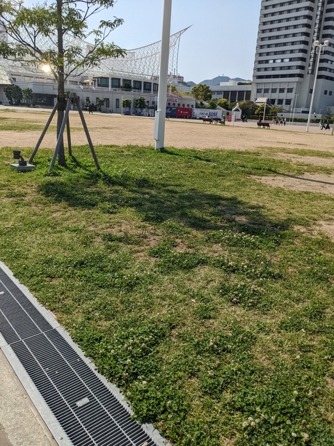 PXL_20220518_054639238