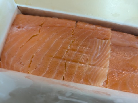 PXL_20240813_051904198