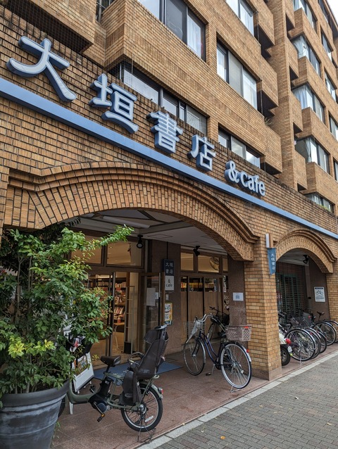 PXL_20221120_004223564