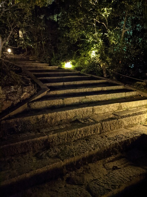 PXL_20211104_110409885