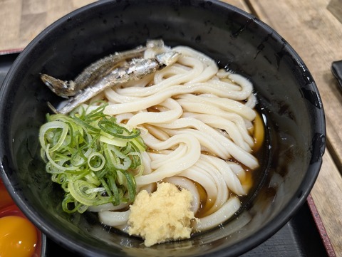 PXL_20260122_231613549