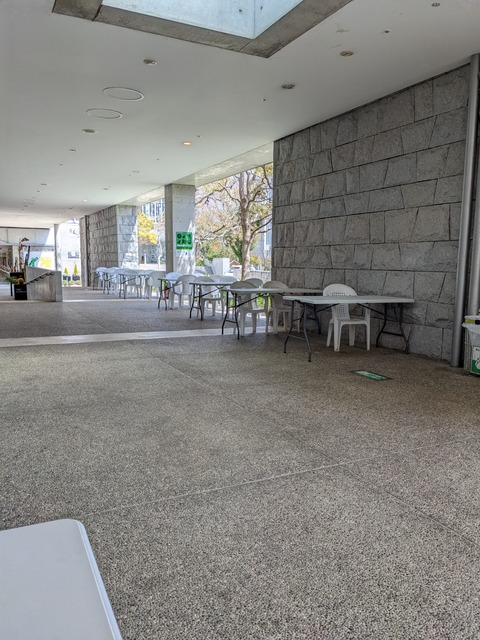 PXL_20220406_024447980