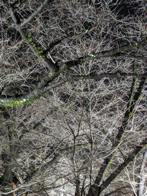 PXL_20240323_102646529
