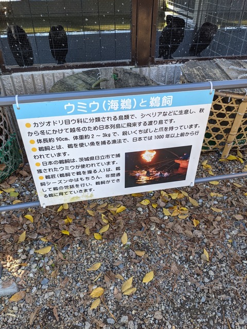 PXL_20211123_024740061