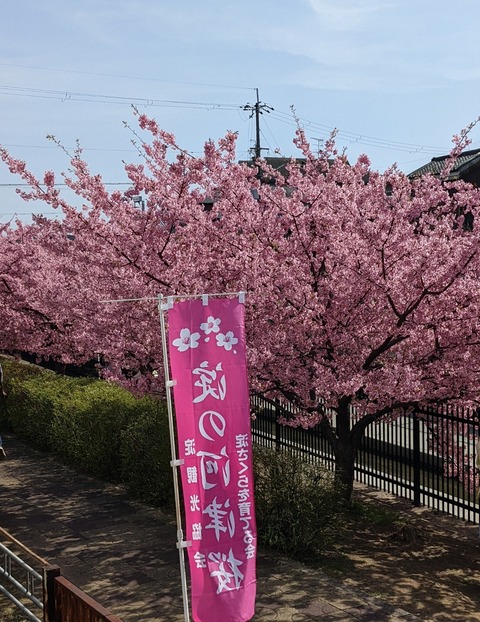 PXL_20220316_045300568~2