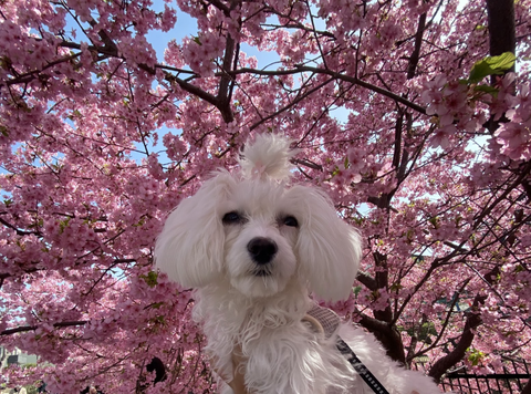 Screenshot_20220316-201046