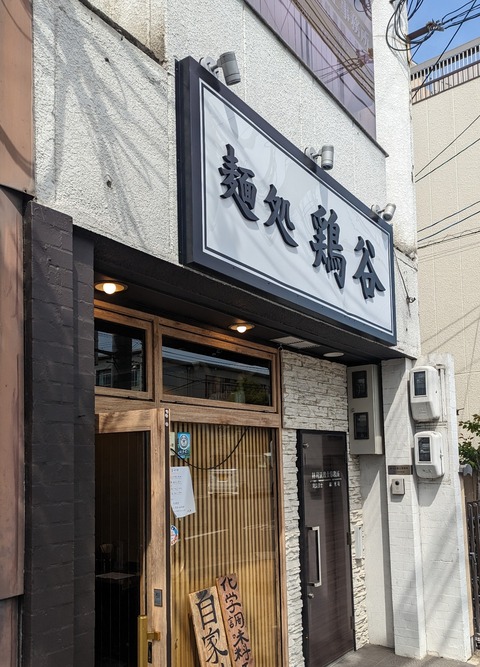 PXL_20230411_043223636