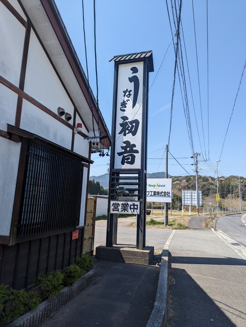 PXL_20230401_032648394