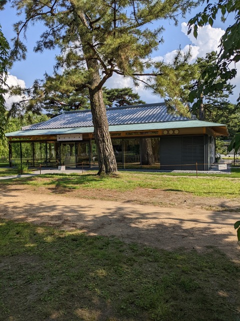 PXL_20220525_063154346