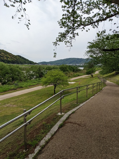 PXL_20220427_043418782