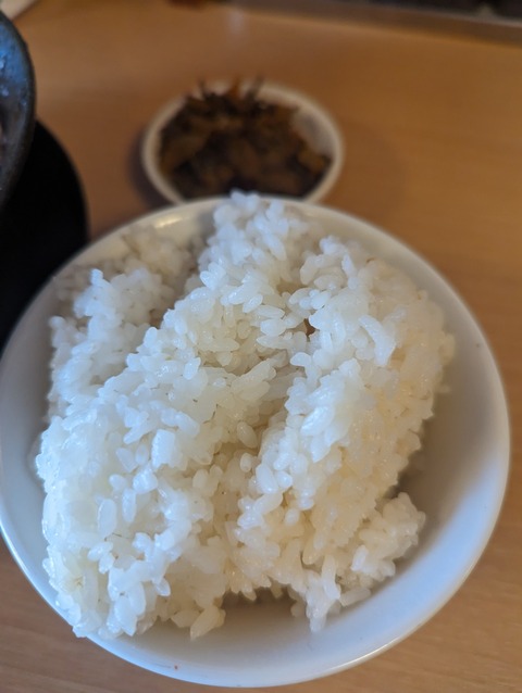 PXL_20240119_025229135