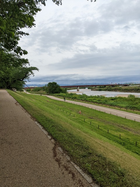 PXL_20220427_045546890