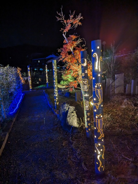 PXL_20221124_103144523