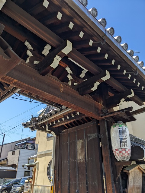 PXL_20220629_043310446