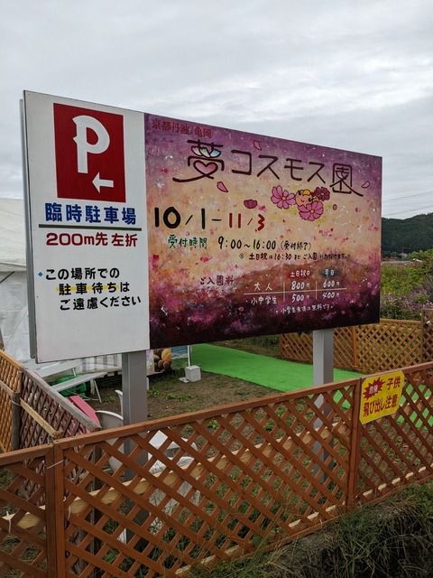 PXL_20221005_055257664