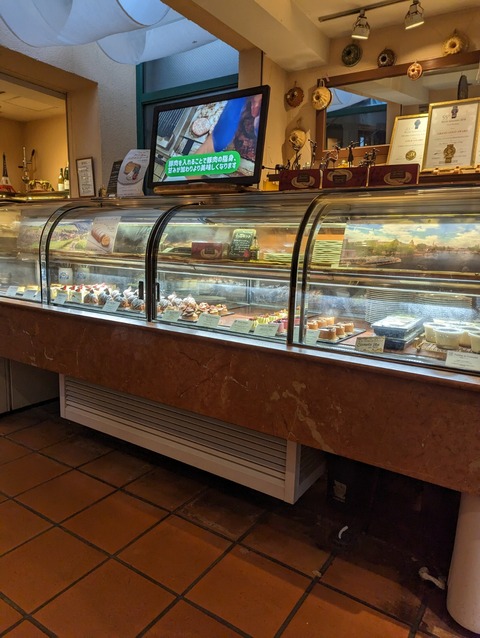 PXL_20221112_074933479