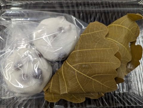 PXL_20240521_073749293