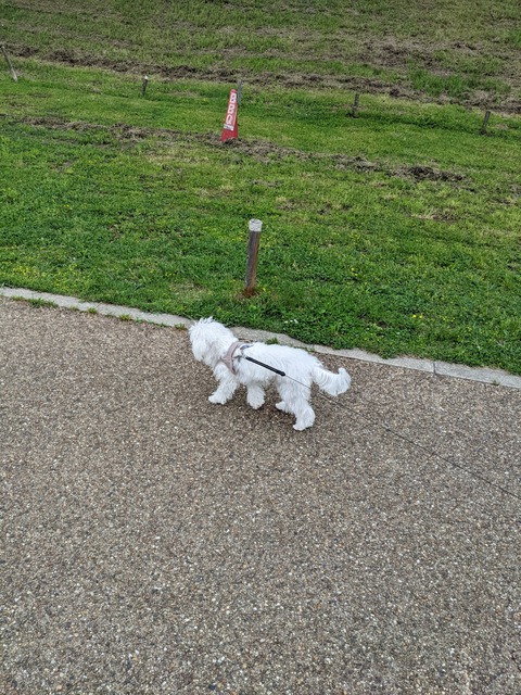 PXL_20220427_045049653