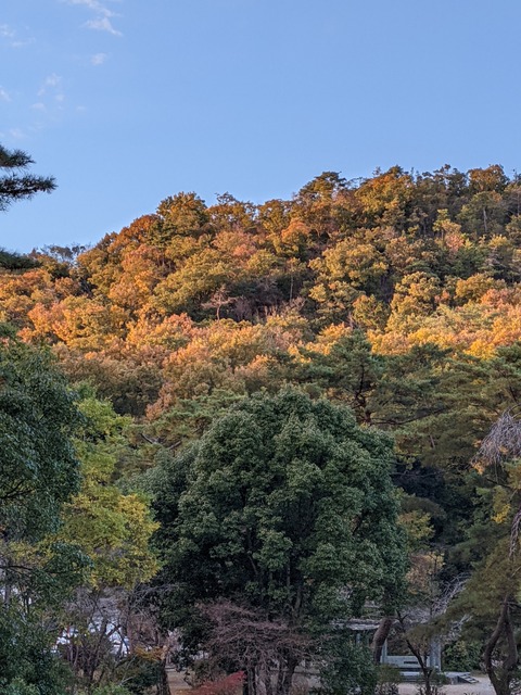 PXL_20211117_071832388