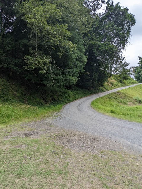 PXL_20220824_042438766