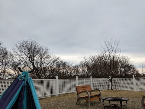 PXL_20220323_052906530