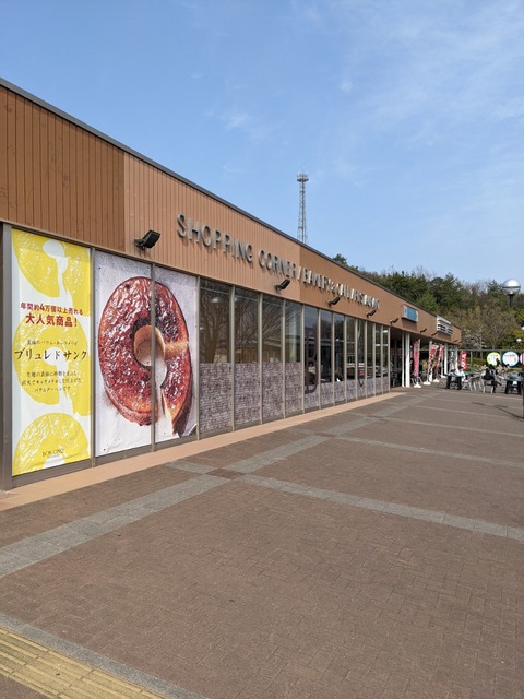 PXL_20220406_054902691