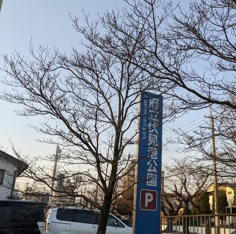 PXL_20220316_082135658