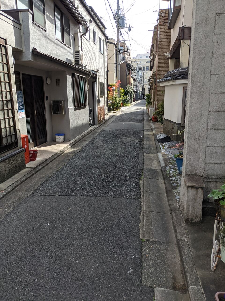 ヒレとんかつ もり一 もりいち 烏丸御池 京都目線 Fwf彡 ヒレとんかつ もり一 もりいち 烏丸御池 京都目線 Fwf彡