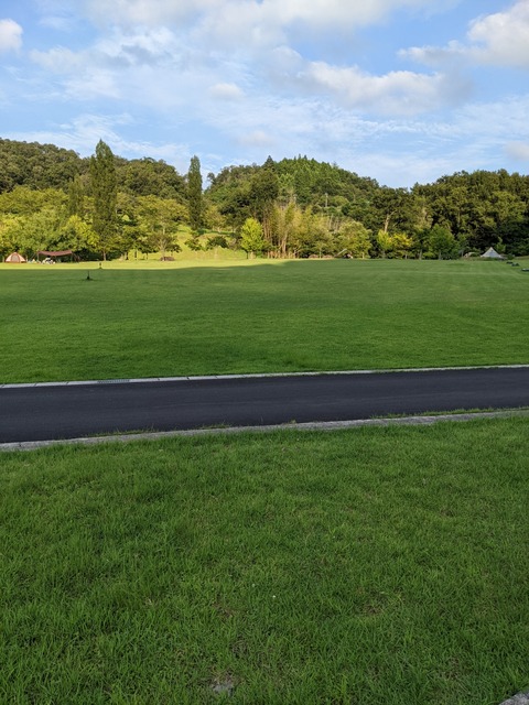 PXL_20220806_083431159