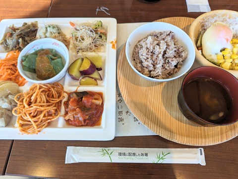 PXL_20231108_045013392