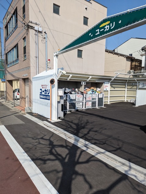 PXL_20240316_004921282