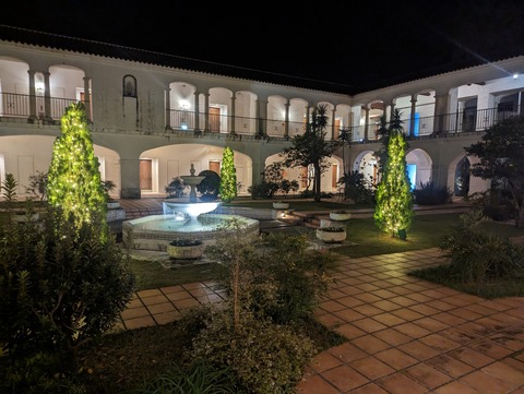PXL_20231111_112325939