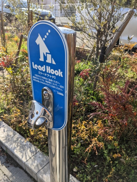 PXL_20220316_070046938