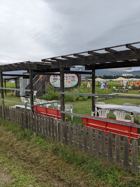 PXL_20221005_055534683