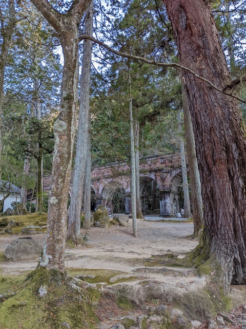 PXL_20220110_070403284