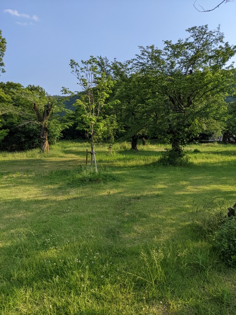 PXL_20220522_074938738