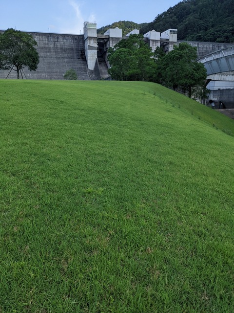 PXL_20220806_083805903