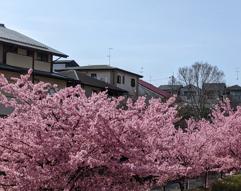 PXL_20220316_045504744~2